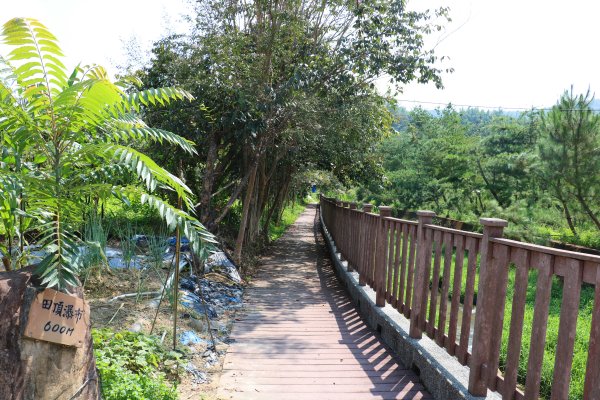 南投魚池~花茶香田園好風光~澀水田頂步道1026748