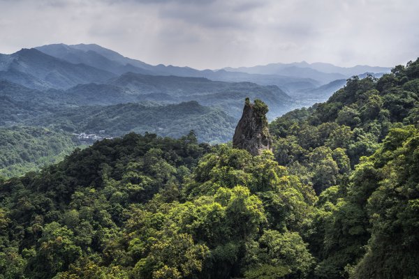 20210513平溪慈母峰與孝子山1386131