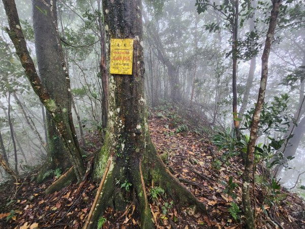 20241208上坪登五指山2683666