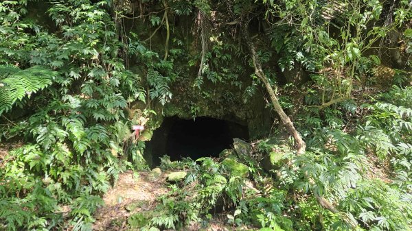 20250715玉田古道-八斗坑內古道2837728