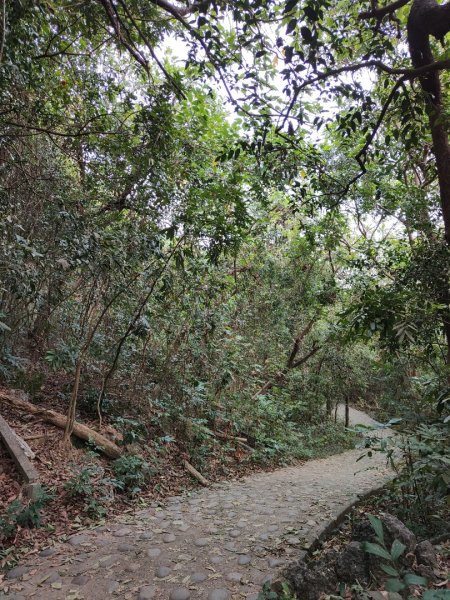 2023.12.24 高雄壽山2835310