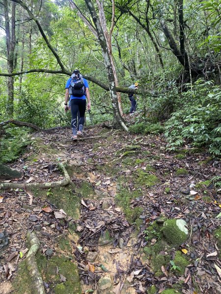 【淡蘭古道尋寶任務】淡蘭南路第四段｜𩻸魚堀溪自行車道至縣界公園2926418