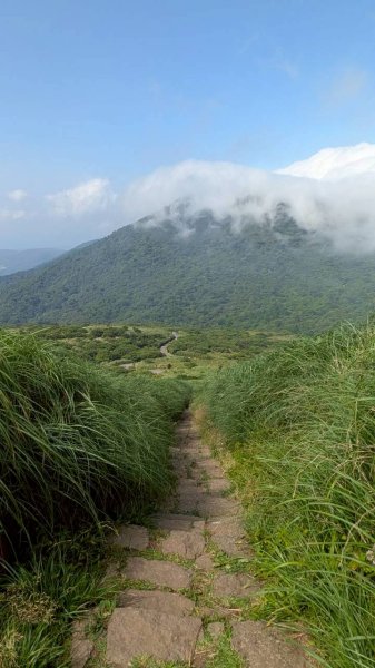 大屯山主峰步道3067635