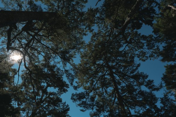 【玉山】主峰北峰二日，臺灣第一高峰雪季最美角度1881196