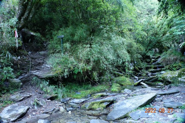 花蓮 秀林 畢祿山 (高遶-進；崩塌-出)1823033