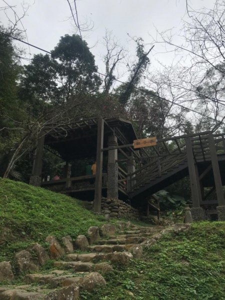 獅頭山、猿山、獅尾山三連走525979