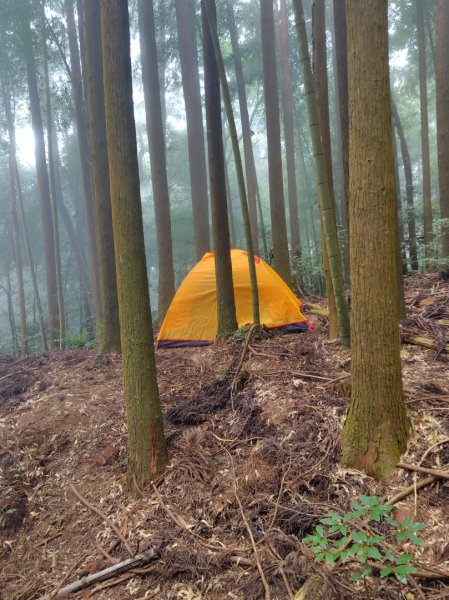 長壽山、肥崠山、醜崠山、大崠山、大崠山經建版2931624