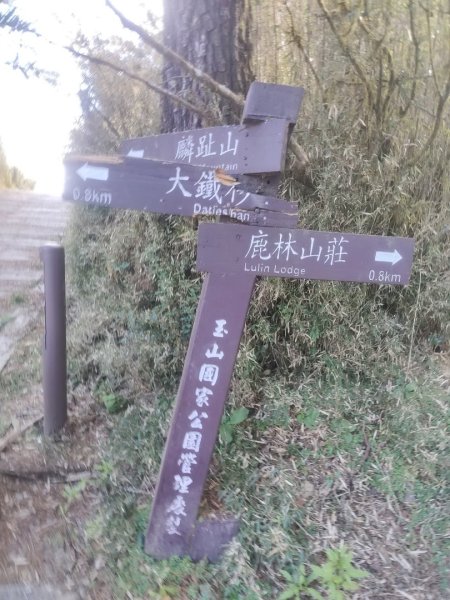 1141116麟趾山3098292