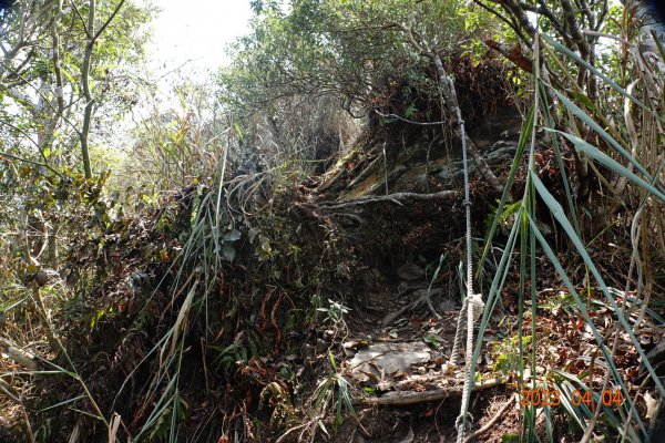屏東 瑪家、泰武 真笠山、鱈葉根山、日湯真山2103134