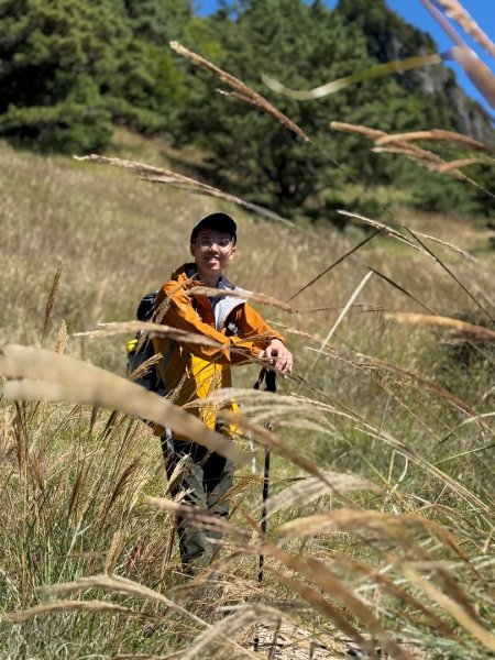 一日單攻桃山2903284