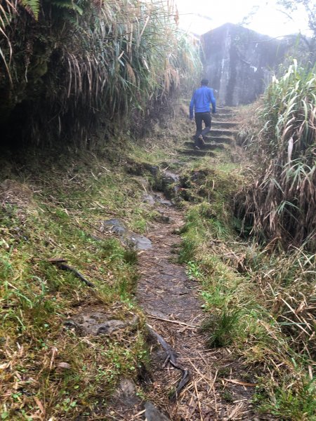 1080224不一樣的阿里山-大塔山532300