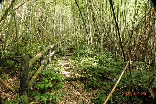 嘉義 阿里山 卓武山1623083