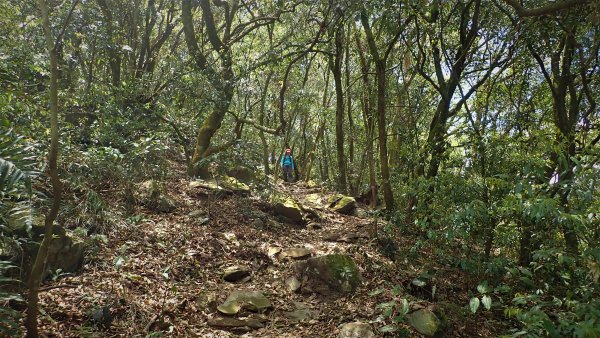 輕鬆健行欣賞飛碟雲下的山稜與屏東市區之美在德文山1394072