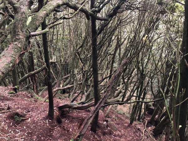 2020/09/13高島縱走P繞1101699