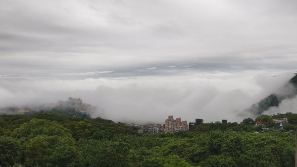 #文化大學 #雲海 #琉璃光 #陽明山秘境 4/253042455