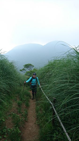 20180506陽明山東西大縱走(逆)半328506