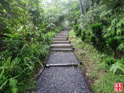 【新北市】烘爐地山登山步道