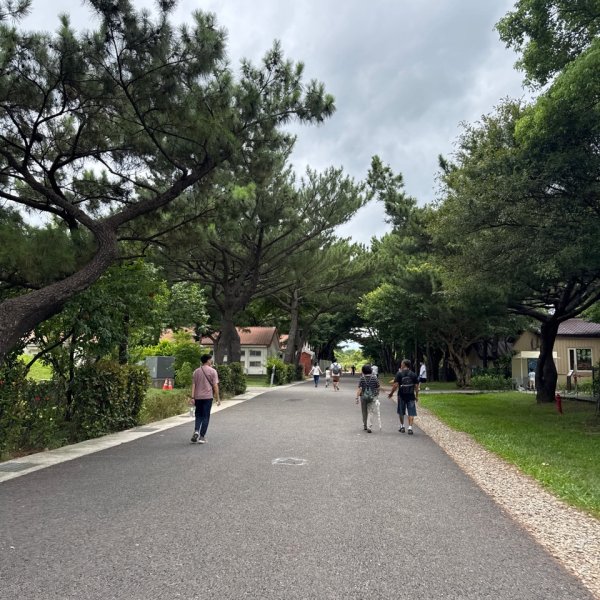 霄裡好風光運動樂悠遊2829070