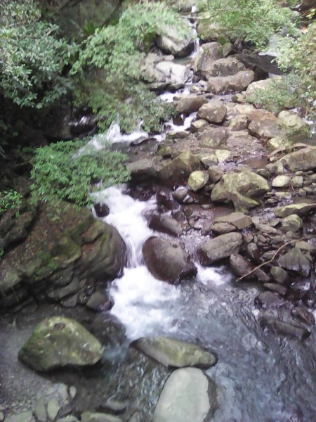 滿月圓國家森林遊樂區1205157