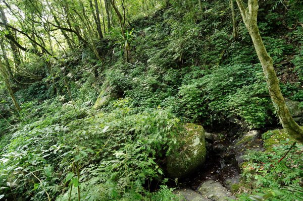 新北 烏來 火燒樟山、落鳳山2557702