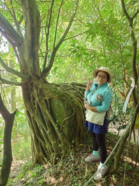 基隆小百岳：大武崙山#03 紅淡山#07 槓子寮山#04 逛吃瑞芳老街2916367