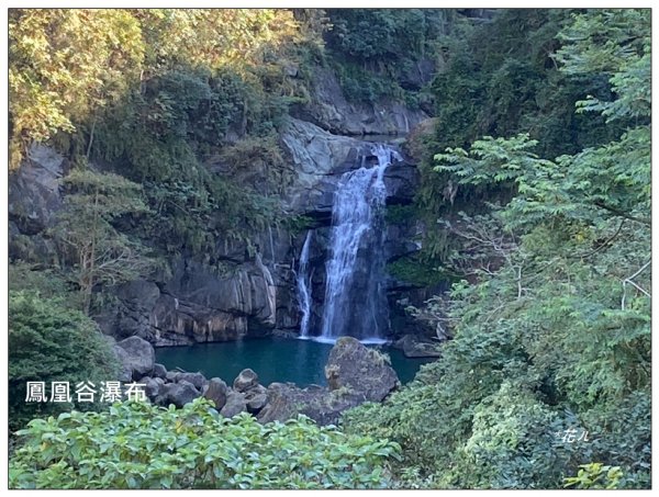 鳳凰谷鳥園步道2695901