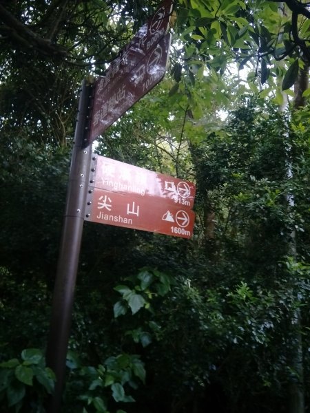 硬漢嶺步道(觀音山)1694079