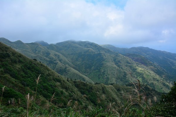 茶壺山O型賞芒1194017