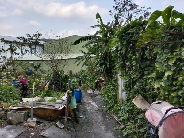 基隆市三層山+湳子大崙+淡基橫斷古道+面桶寮土地公2982208