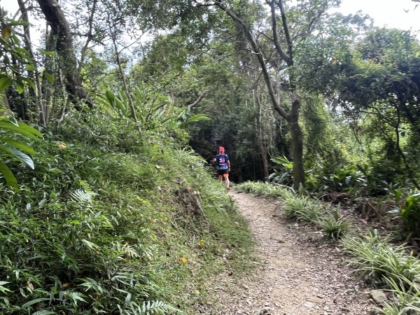 [微笑山線_第五段] 2025_0705 天上山系_南勢角山2830444