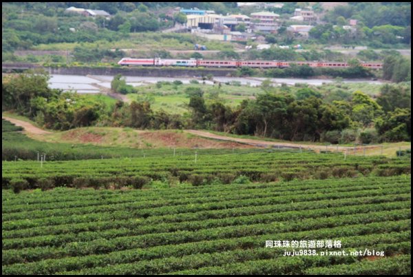 苗栗銅鑼茶廠911879