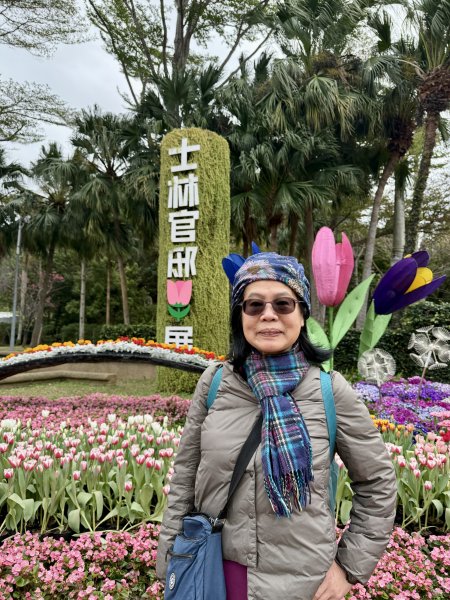 士林官邸~鬱金香2717307