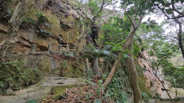 圓通寺烘爐地登山步道大O走3007068