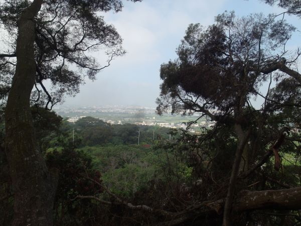 彰化社頭清水岩到田中鼓山寺之森林步道128052