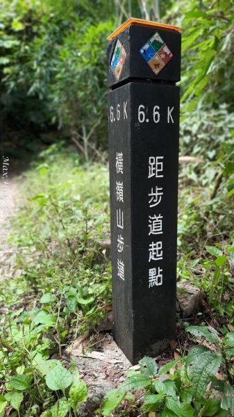 《台中》優美稜線｜橫嶺山自然步道（大雪山社區南登山口）202505312800138