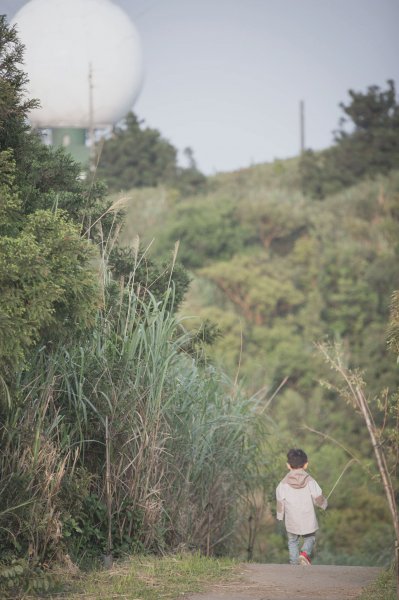 20200411-五分山步道918736