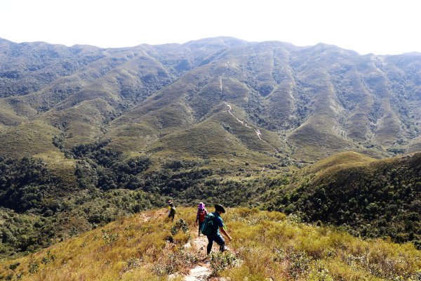 HK - 白燕岩1661219