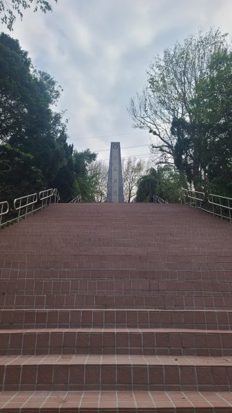 2025-0204 鶯歌_大凍山_三角埔頂山_迴龍2707968