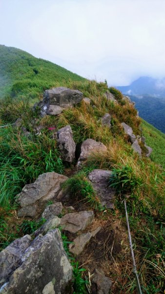 小觀音山群峰小O走757854