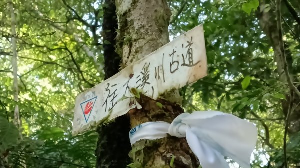 雙溪區三分二山-烏山古道東段-烏山1號O型3047439