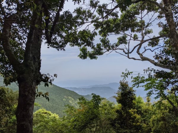 中級山-高島縱走2888423