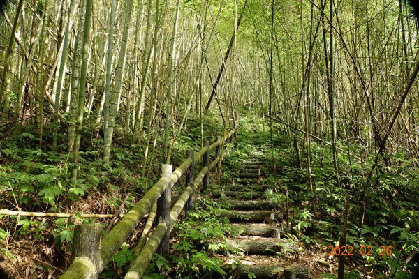 嘉義 阿里山 卓武山1623084