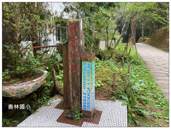 阿里山神木群棧道2771573