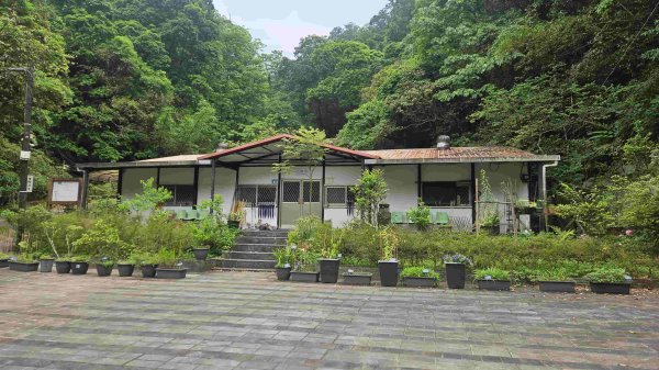 20250503藍鵲峰-平溪子山-畝畝山-青林山2777592