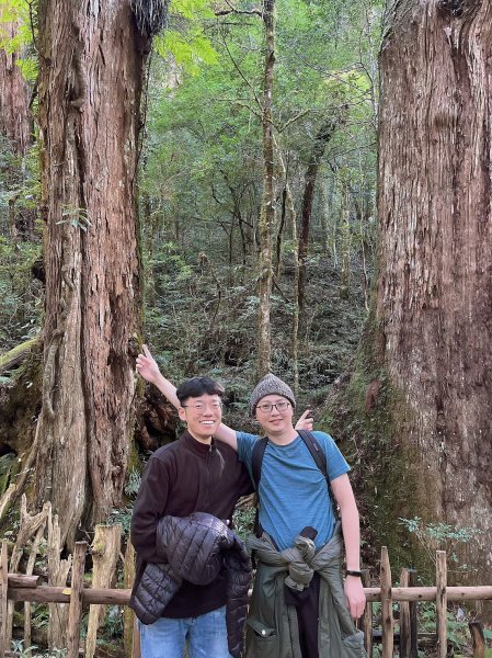 中級山-司馬庫斯2888951