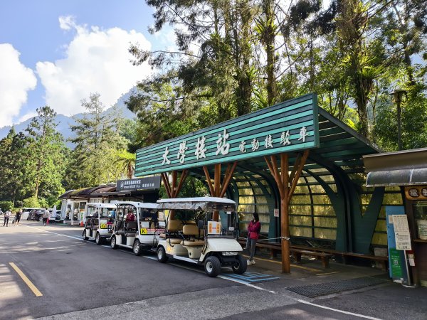 [百山百鳥尋旅-05/15] 2025_0830 溪頭賞鳥步道_賞鳥步道2875032