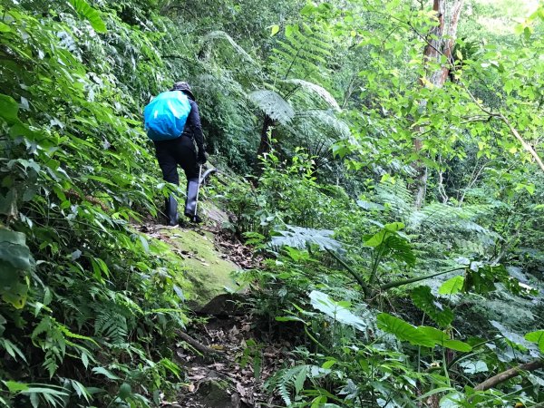 嘎色鬧走那結山1370923