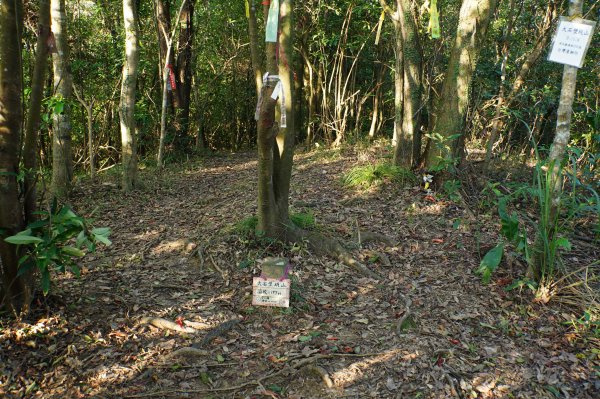 新北 貢寮 大石壁坑山、五酒桶山、龍崗山2980855