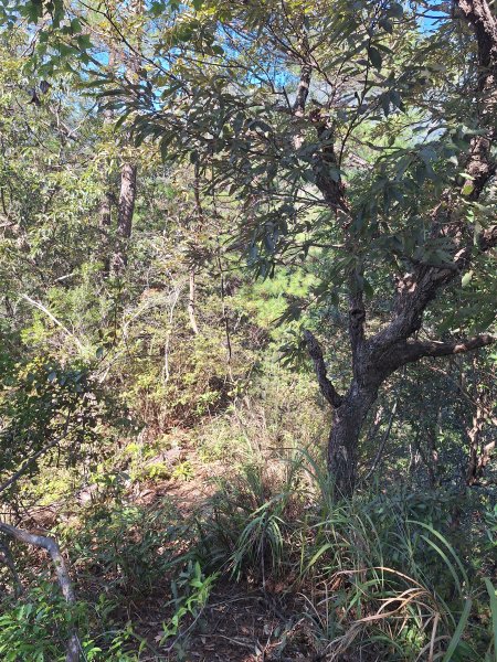 上谷關山202511202940866