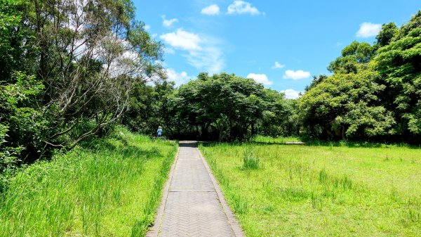 內雙溪自然中心2808686